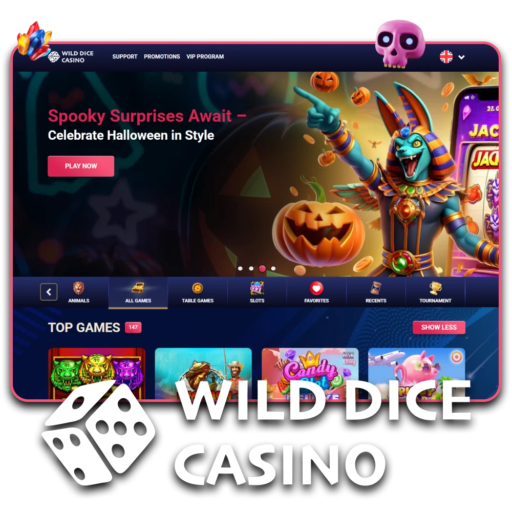 We'll tell you about the Wild Dice Casino team.