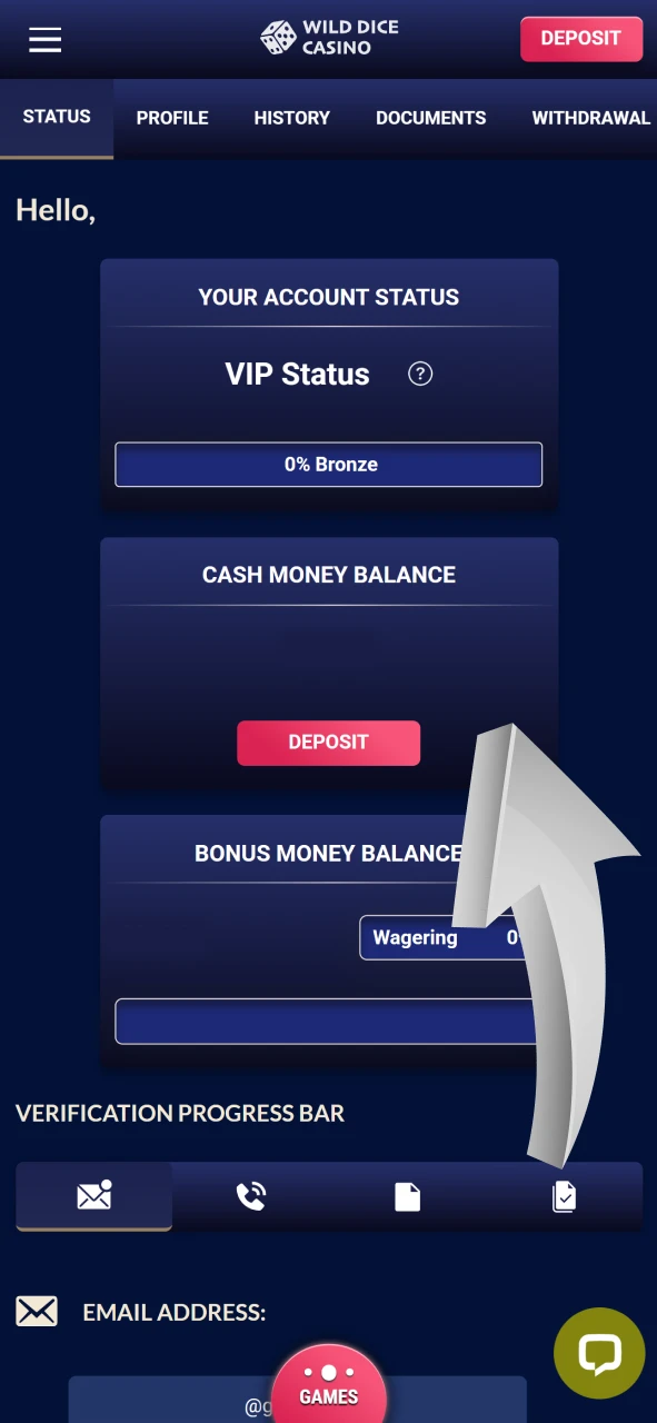 Now check if the balance top-up has been applied to Wild Dice Casino.