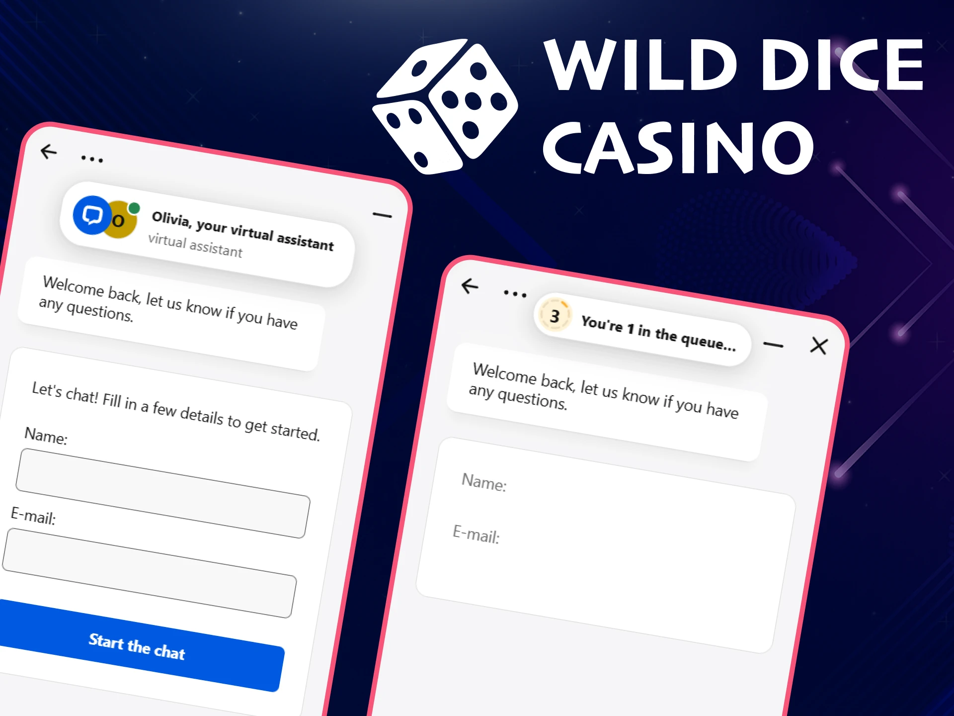You can always contact Wild Dice Casino support with any questions regarding your deposit.