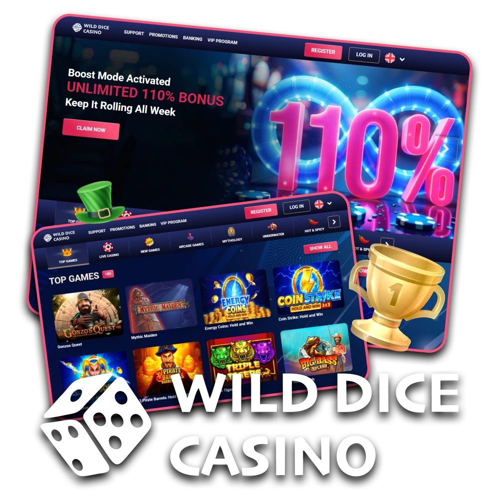 We recommend Wild Dice Casino for casino lovers.