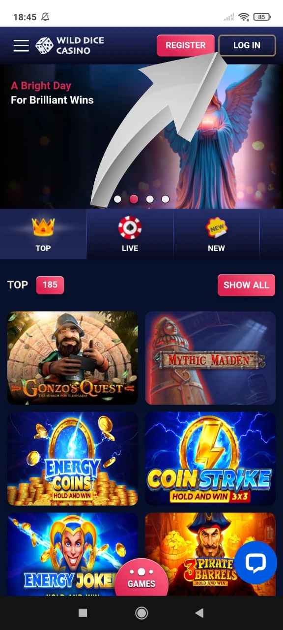 Click the login button and choose a method at Wild Dice Casino.