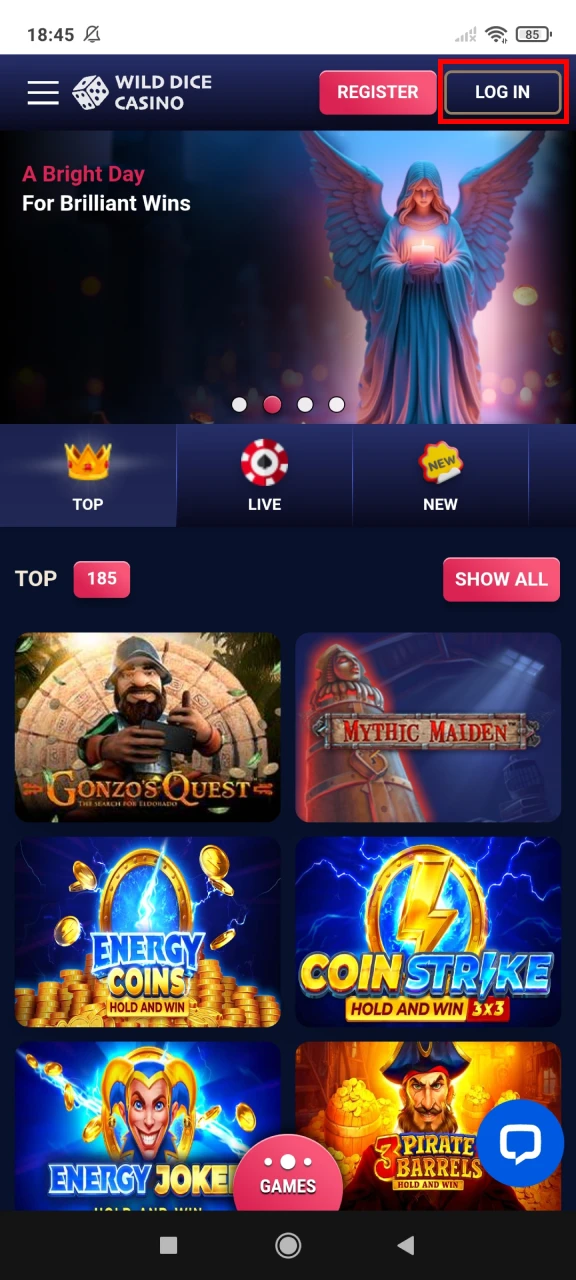 Open the Wild Dice Casino main page and click the login button.