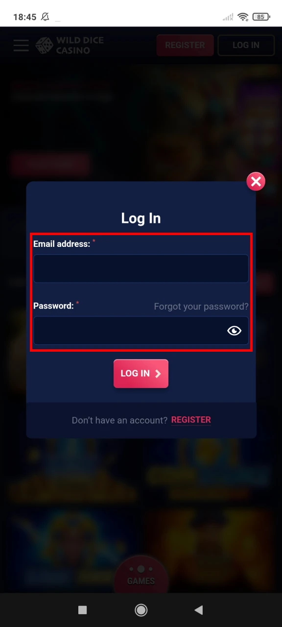 Fill in your login details at Wild Dice Casino.